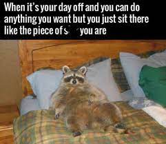 24 Funny Memes That Will Make Your Weekend A Little More Amusing Part 2 Funny Memes Funny Pictures Funny Captions