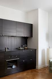 As we have already said, the gray color is ideal for any type of. 21 Black Kitchen Cabinet Ideas Black Cabinetry And Cupboards