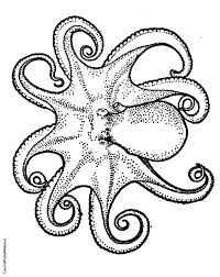 Push pack to pdf button and download pdf coloring book for free. Get This Octopus Coloring Pages Free Printable Fyo116