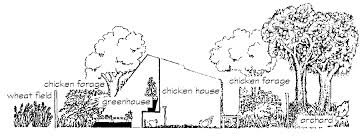 Advice for chicken coop with greenhouse together small. In Search Of The Fabled Permaculture Chicken Greenhouse Transition Culture