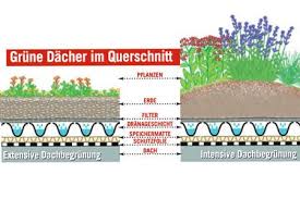 Dachbegrunung Die Wichtigsten Infos Das Haus In 2020 Dachbegrunung Flachdach Begrunung Carports
