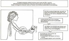 A em é uma doença do sistema nervoso central caracterizada pela progressiva generalizada lesão cerebral e da medula espinhal (chiaravalloti. Psiquiatria Geral