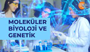 Biyoloji, mikrobiyoloji, biyokimya ve genetik. Molekuler Biyoloji Ve Genetik Bolumu Nedir Mezunlari Ne Is Yapar