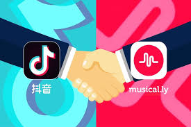 Image result for musically app