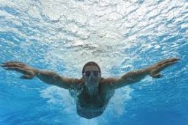 Piscine Philippe Rouget A Arles Horaires Tarifs Et Telephone Guide Piscine Fr