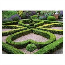 Heart Shaped Hedges Parterre Garden Garden Design Beautiful Gardens