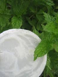 Creer Vos Produits Naturels Simple Et Pas Cher Savon Argile Verte Menthe Poivree Argile Verte Menthe Poivree Savon