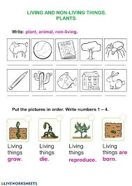 Living Things And Plants Interactive Worksheet In 2020 Plants Worksheets 2nd Grade Worksheets Worksheets