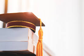 A person who studies a subject in great detail, especially at a university: The Crdcn Emerging Scholars Grant Canadian Research Data Centre Network