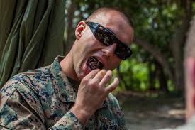 Military Humor For The Day NATO Commander in the desert. asked a group of  troops. "if you found a scorpion in your tent. What would you do?" ARMY  said "I would throw