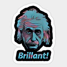 Terms like father of physics (or father of modern chemistry, or mother of computer science) aren't official titles, they're just subjective opinions. Albert Einstein Brilliant Graphic Tee Father Of Physics Albert Einstein Aufkleber Teepublic De
