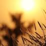 France Battles Fifth Heatwave of 2026 with 78 Departments on Orange Alert
