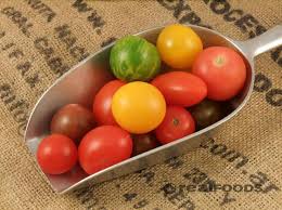 All About Tomatoes Cherry Plum San Marzano Roma Rebellion