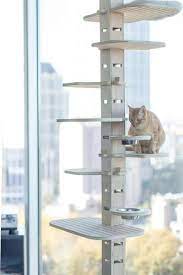 Pin On Cat Perch Ideas