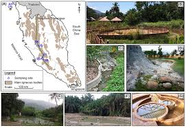 Manufacturerss > business services > other business services > allied chemists laboratory sdn bhd profile. Frontiers Effects Of Physiochemical Factors On Prokaryotic Biodiversity In Malaysian Circumneutral Hot Springs Microbiology