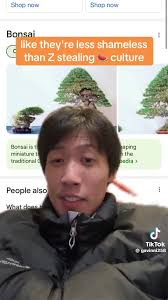 Sense of cultural appropriation and offense towards it?