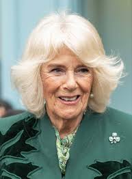 Queen Camilla Shares Update