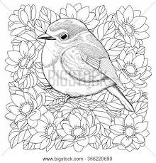 Here are some beautiful landscape shrubs to consider. Garden Coloring Pages Images Illustrations Vectors Free Bigstock