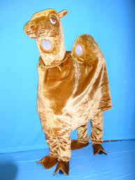 And is that camel's name really sally? Deluxe 2 Person Camel Costume