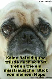 Mops Zitate Und Spruche Mops De