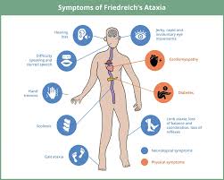 Image result for Ataxia