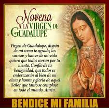 Guadalupe Catholic Quotes Prayer Quotes Bible Reading Plan