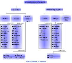 form 2 notes science form 2 biodiversity