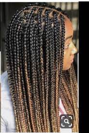 Braided Wig Made On A Full Frontal Wig Human Hair Wig The Colors In The Picture 1 27 Gold Black Length Is 24inches Long Small Box Braids Hairstyles Braided Hairstyles Kids Braided Hairstyles