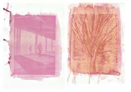 15 cm de diámetro x 14,9 cm de alto x 11,5 cm de grosor (cerrado) / 15 cm. Anthotypes And Cyanotypes Are A Type Of Photographic Printing Invented In The Mid 19th Century By The Scientist And The Renaissa Prints Cyanotype Art Tutorials