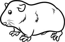 Free pdf generator and print ready. Guinea Pig Coloring Pages Best Coloring Pages For Kids
