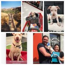 See all available apartments for rent at luxe at 1820 in tampa, fl. Best Animal Control Near Me July 2021 Find Nearby Animal Control Reviews Yelp