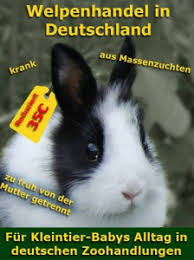Die krankheitsverläufe seien aber weniger gravierend, da in. Kaninchen Kaufen