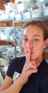 Do caterpillars wear toques?