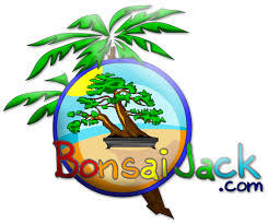 Bonsai soil comprised of various gritty material. Succulent Soil Bonsai Jack C