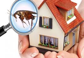 We are happy to share with you that we are highly trusted by most of our clients. Pest Treatment Control Company In Ncr Pest Control Services Company Delhi