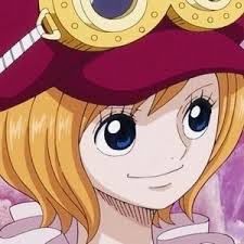 Koala Anime One Piece Personagens One Piece