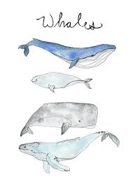 Digital Download File Printable Watercolor Whales Watercolor Whale Watercolor Printable Watercolor Ocean