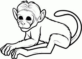 Read more information about the capuchin monkey » Cute Monkey Coloring Pages Coloring Home