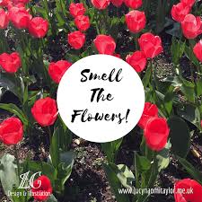 In your sentence, 'smells nice' describes the flower or the state of the flower. Smell The Flowers Drawanddesignbylucyg