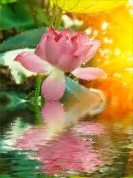 Discover and share the best gifs on tenor. Animated Gif Editor Romantic Gif Flowers Gifaya