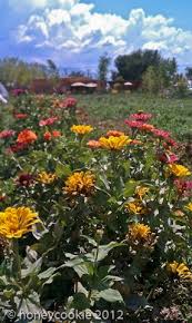 Farm Table Restaurant Garden Albuquerque Nm Farm Table Restaurant Garden Farm Table