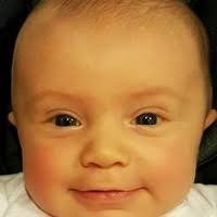 5621558_fbs.jpg?cb=20250809072725