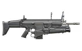 Is the assault rifle golf op now? Fn Scar H Weaponsystems Net
