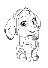 My toddler loves paw patrol and chase is her favorite so of course she is gonna love this toy. Ryhma Hau Varityskuvat