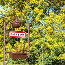 Image result for Mimosa 1988 Tracer