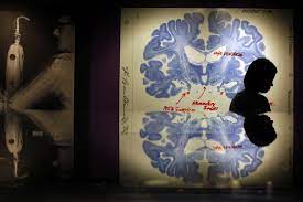 Position and conclusion are semantically related. What Science Shows Us About Why We Jump To Conclusions World Economic Forum