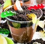 School Age (5-11) SRP Activity: Dirt & Worm Cup