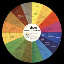 Scent Mapping Diagrams And Aroma Wheels Essential Oil