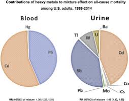 Adults, more than 90 percent of type 2 diabetes, 80 percent of cad, 70 percent of stroke, and 70 percent of colon cancer are potentially preventable by a combination of nonsmoking, avoidance of overweight, moderate physical activity, healthy diet, and moderate alcohol consumption (willett 2002). Levels Of A Mixture Of Heavy Metals In Blood And Urine And All Cause Cardiovascular Disease And Cancer Mortality A Population Based Cohort Study Sciencedirect