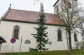 Bevorzugt angebote über eine immobilie in hausen bei würzburg! Landkreis Wurzburg Zwei Mickrige Christbaume Sorgen Fur Spott